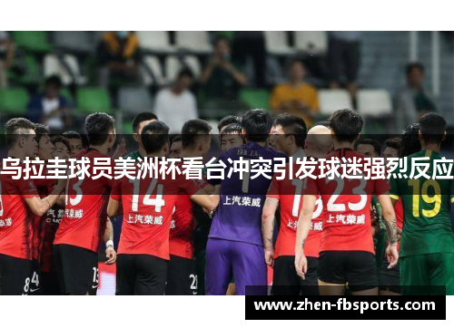 乌拉圭球员美洲杯看台冲突引发球迷强烈反应 乌拉圭球员美洲杯看台冲突引发球迷强烈反应