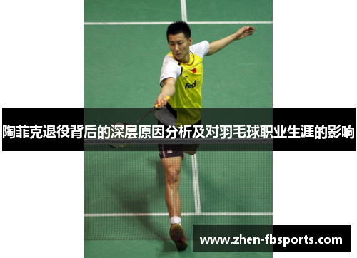 陶菲克退役背后的深层原因分析及对羽毛球职业生涯的影响