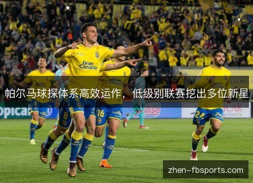 帕尔马球探体系高效运作,低级别联赛挖出多位新星 帕尔马球探体系高效运作,低级别联赛挖出多位新星